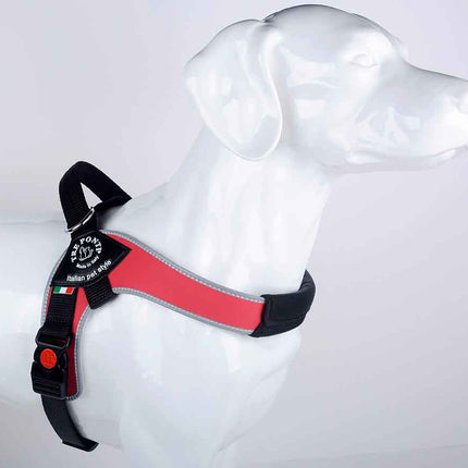 TREPONTI Harness medium for Dog 10 to 20 kg