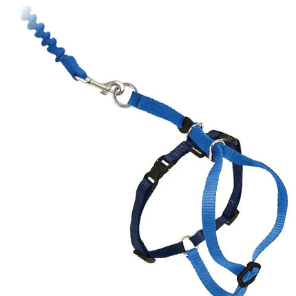 Hello mickey Leash and Harness For Small pet