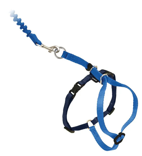 Hello mickey Leash and Harness For Small pet