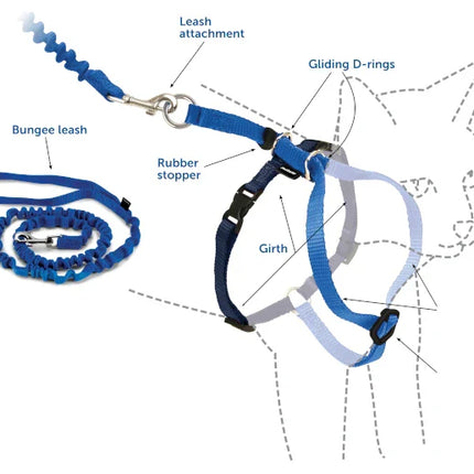 Hello mickey Leash and Harness For Small pet