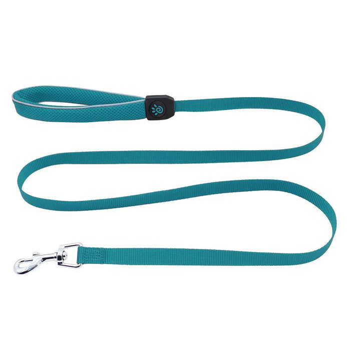 DOCO Athletica Small Turquoise Reflective Mesh Dog Leash 150 in 1.5cm