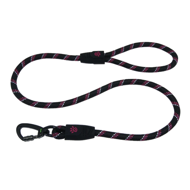 مقود كلب DOCO Athletica صغير من القماش الشبكي العاكس باللون الأزرق مقاس 150 بوصة و1.5 سم