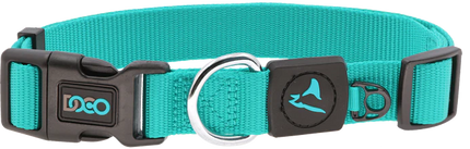 Doco Small turquoise Nylon Dog Collar 25 to 40 in 1.5cm
