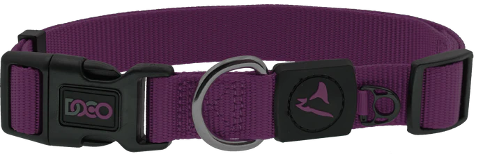 Doco Small Purple Nylon Dog Collar 25 to 40 in 1.5cm