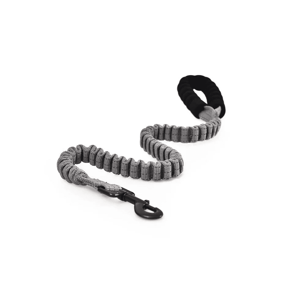 Naomi Dog Leash Soft Padded Gray