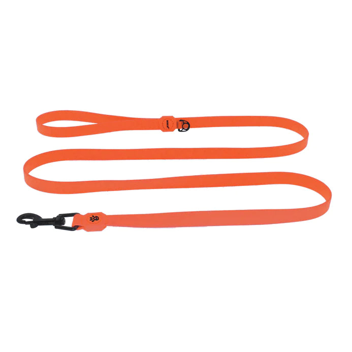 DOCO Jelly Bean Nylon Dog Leash Orange 180 in 2.5 cm