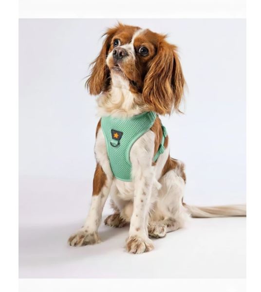 PAWSTAR Air-Mesh Harness Mint XL