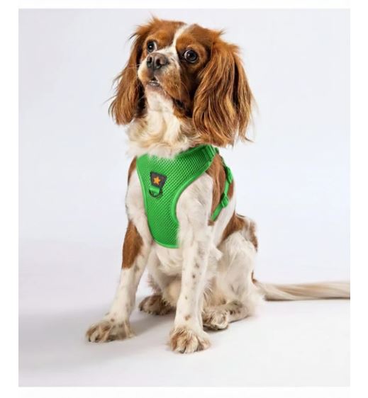 PAWSTAR Air-Mesh Harness Green XL