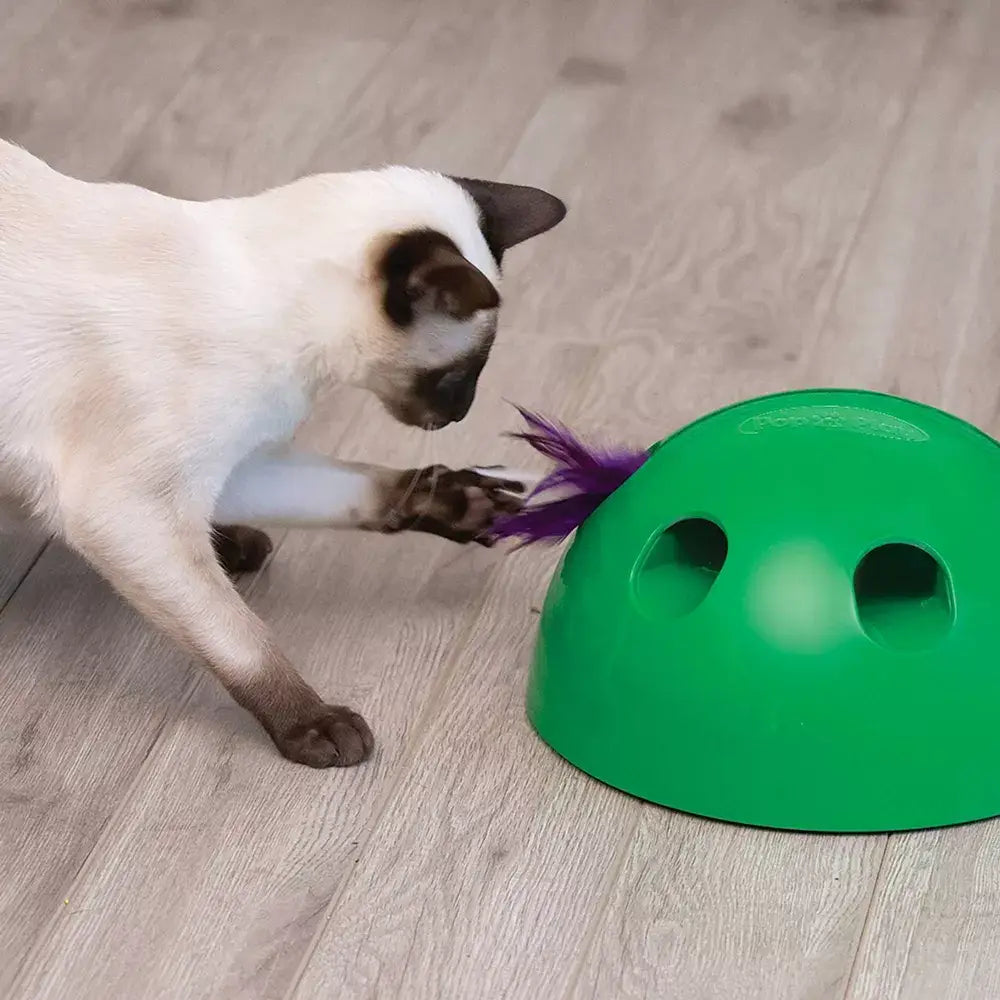 Inter Active Cat Toy