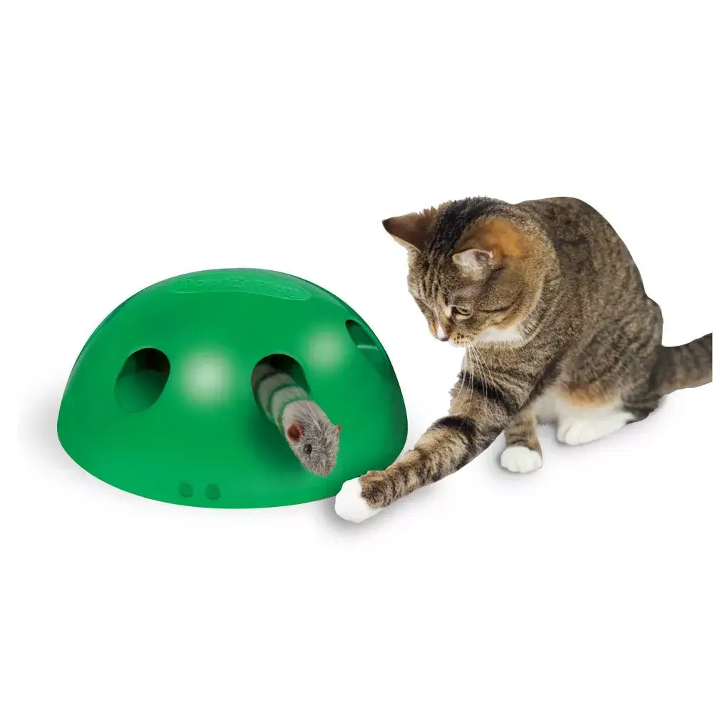 Inter Active Cat Toy