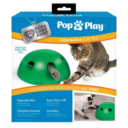 Inter Active Cat Toy