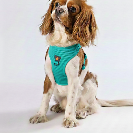 Pawstar 3XS Mint Green Air Mesh Dog Harness Neck 20-24cm And Waist 24 - 28 cm