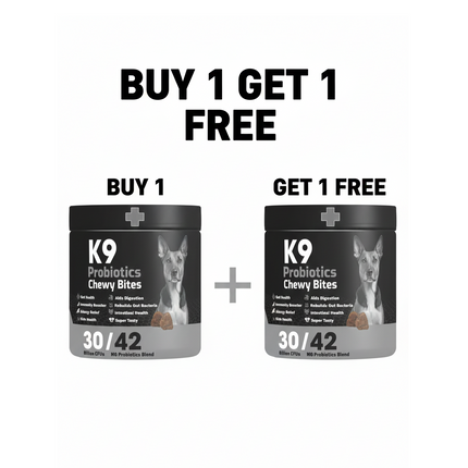 K9 Supplement Probiotecs chewy bites For Dogs 90 Pcs buy One Get One Free