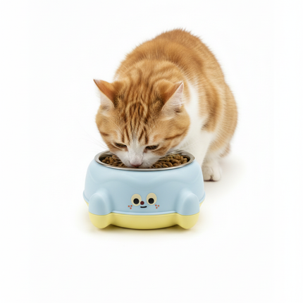 Stylish Multi Colored Cat And Dog Bowl With Non Slip Stickers 12 Mm