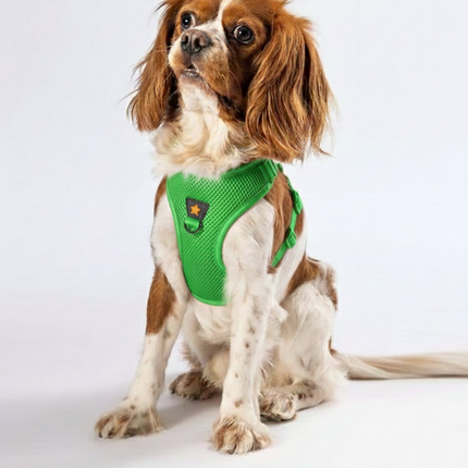 Pawstar  Medium Green Air Mesh Dog Harness Neck 32 -34 cm And Waist 44-48 cm