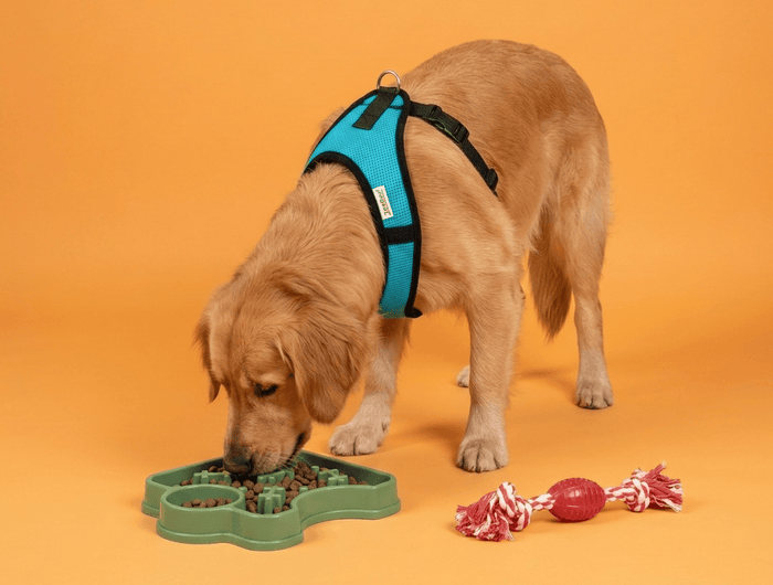 <h2>The perfect gifts</h2>