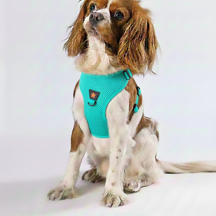 Pawstar 3XS Turquoise Air Mesh Dog Harness Neck 20-24cm And Waist 24 - 28 cm