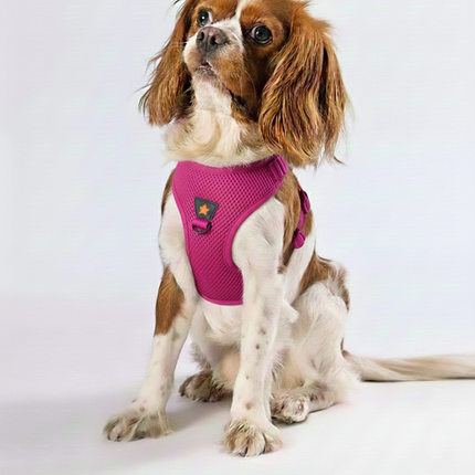 Pawstar Medium Fuchsia Air Mesh Dog Harness Neck 32-34cm And Waist 44-48cm