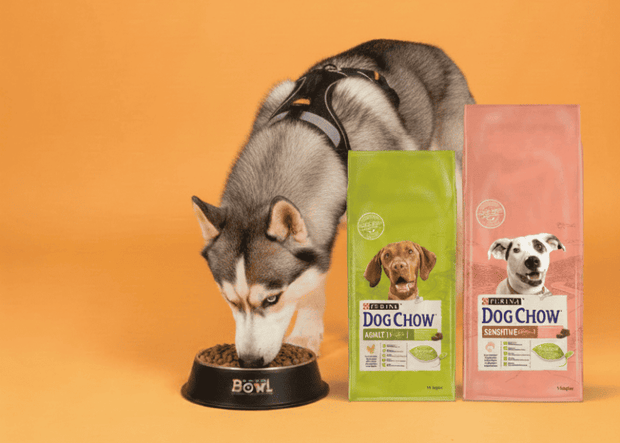 <h3>Dog Chow </h3><h5>Up To 50% OFF</h5>