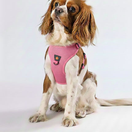 Pawstar 2XS Pink Air Mesh Dog Harness Neck 24-28 cm And Waist 28 - 32 cm