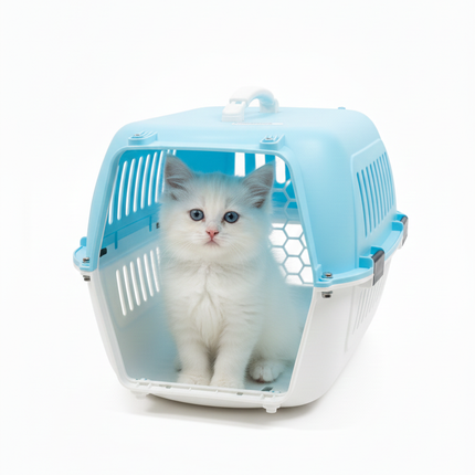 Pet Carrir Box Medium Size Available in two colors light blue and light green