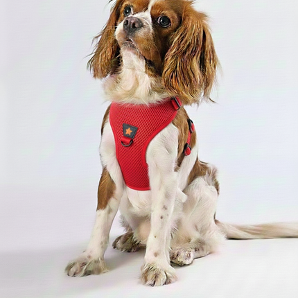 Pawstar Medium Red Air Mesh Dog Harness Neck 32-34cm And Waist 44-48cm