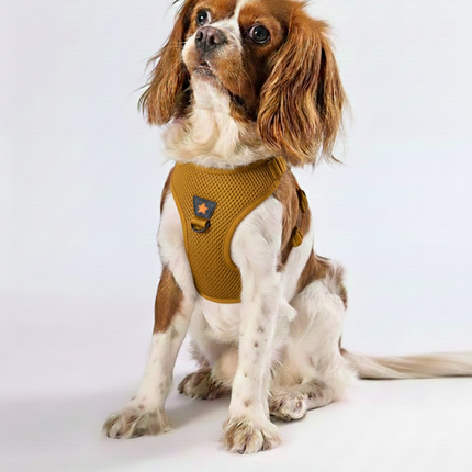 Pawstar 2XS Neon Orange Air Mesh Dog Harness 24 to 28cm