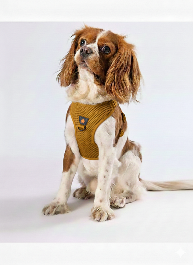 Pawstar 2XS Neon Orange Air Mesh Dog Harness 24 to 28cm