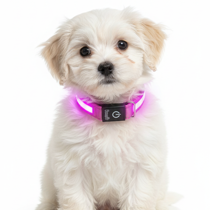 Romeo Dog collar with LED light and reflective strips, flashing mode or continuous light Size L