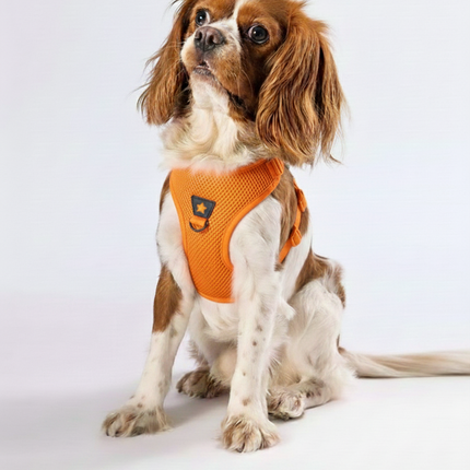 Pawstar Large Orange Air Mesh Dog Harness Neck 42-54 cm And Waist 48 - 54 cm