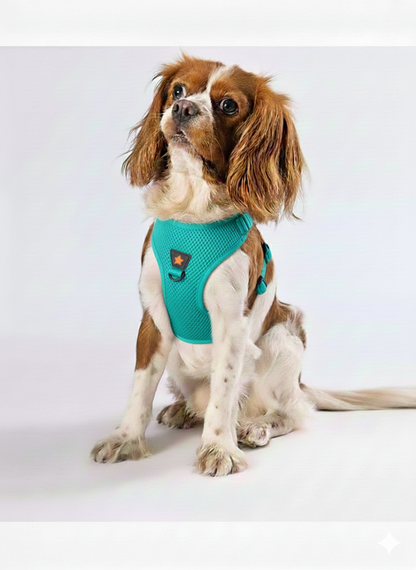 Pawstar Medium Turquoise Air Mesh Dog Harness Neck 32-34cm And Waist 44-48cm