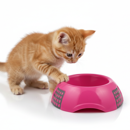 MPS medium Pet Bowl