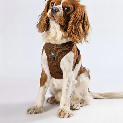 Pawstar 2XS Neon brown Air Mesh Dog Harness 24 to 28cm