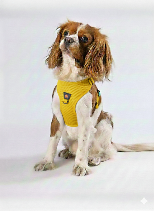 Pawstar Medium Yellow Air Mesh Dog Harness Neck 32-34cm And Waist 44-48cm