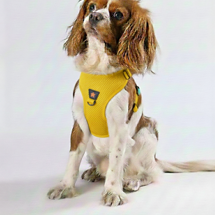 Pawstar Yellow XL Air Mesh Dog Harness Neck 42-54cm And Waist 54-60cm