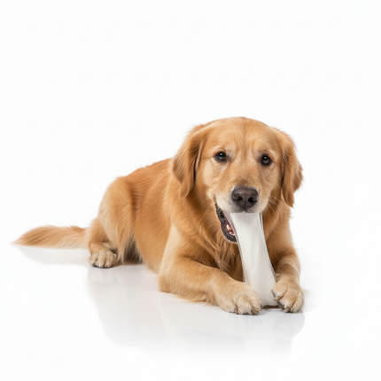 Nunbell Premium Silicone Dog Chew Toy Bone Shape