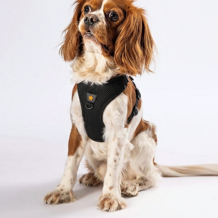 Pawstar Black 3XS Air Mesh Dog Harness Neck 20-24cm And Waist 24-28cm