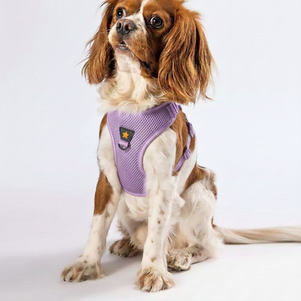 Pawstar Light Purple 3XS Air Mesh Dog Harness Neck 20-24cm And Waist 24-28cm