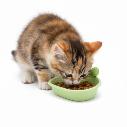 Cat Bowl Pet Food 12 Mm