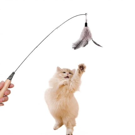 Interactive Feather Teaser Wand Cat Toy with Wooden Handle