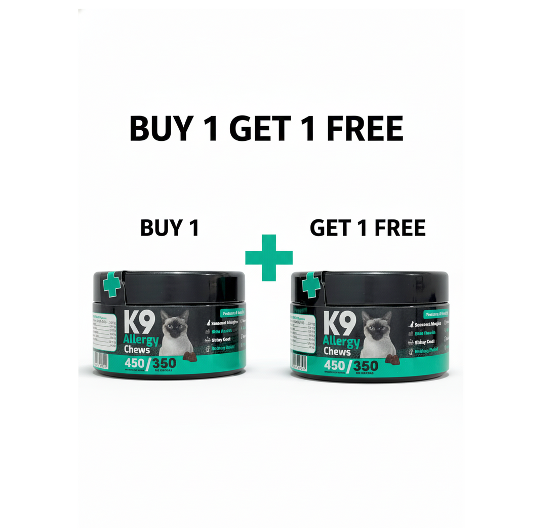 K9 Supplement For Cats Allergy Chews 60 Pcs buy One Get One Free
