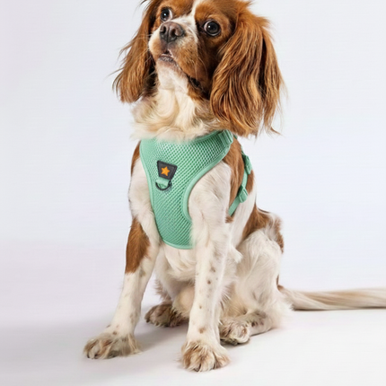 Pawstar Large Mint Air Mesh Dog Harness Neck 42-54cm And Waist 48-54 cm