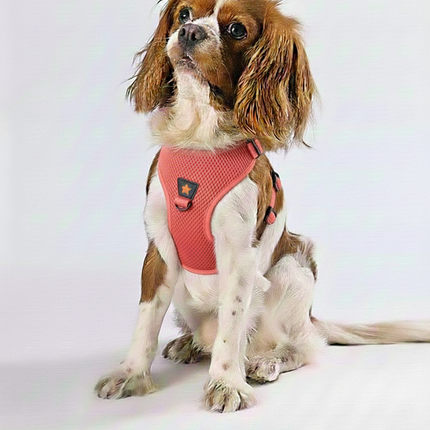 Pawstar Medium Light Red Air Mesh Dog Harness Neck 32-34cm And Waist 44-48cm