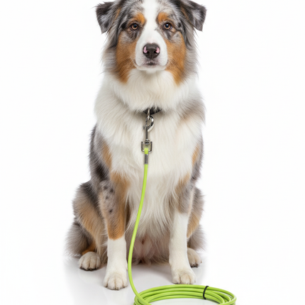 Nunbell Dog Leash Steel  Wire Rope 10 M