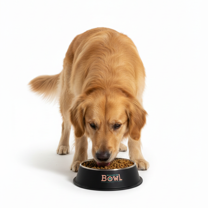 Nunbell Pet Bowl  1 pcs 26 Cm