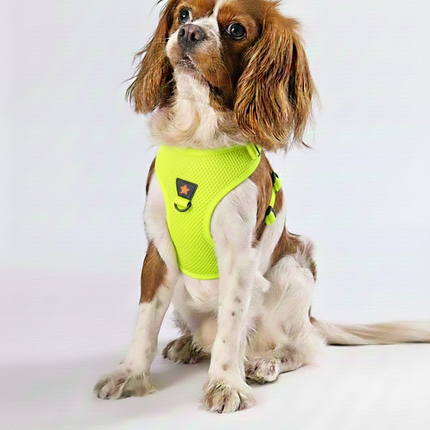 Pawstar 3XS Neon Yellow Air Mesh Dog Harness Neck 20-24cm And Waist 24 - 28 cm
