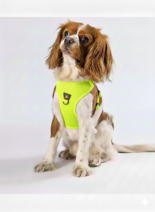 Pawstar 3XS Neon Yellow Air Mesh Dog Harness Neck 20-24cm And Waist 24 - 28 cm