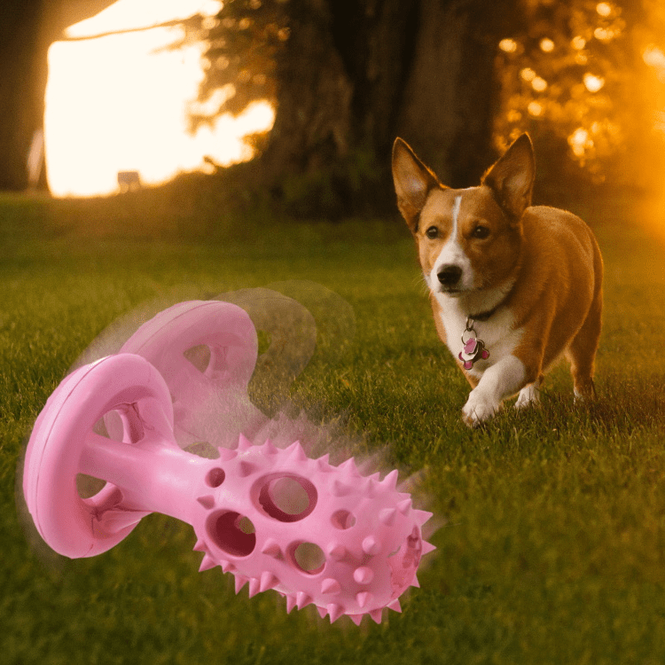 Soleil Pink Spike Rod Shaped Pet Chew Toy