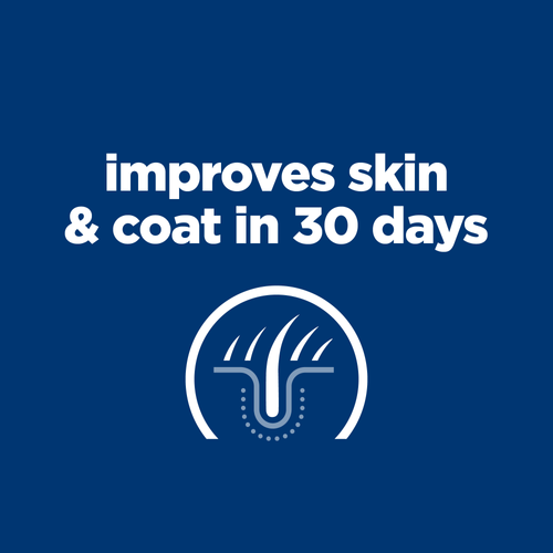 Hill's Prescription Diet Derm Complete Dry Food for Mini Breed Adult Dogs 1 kg