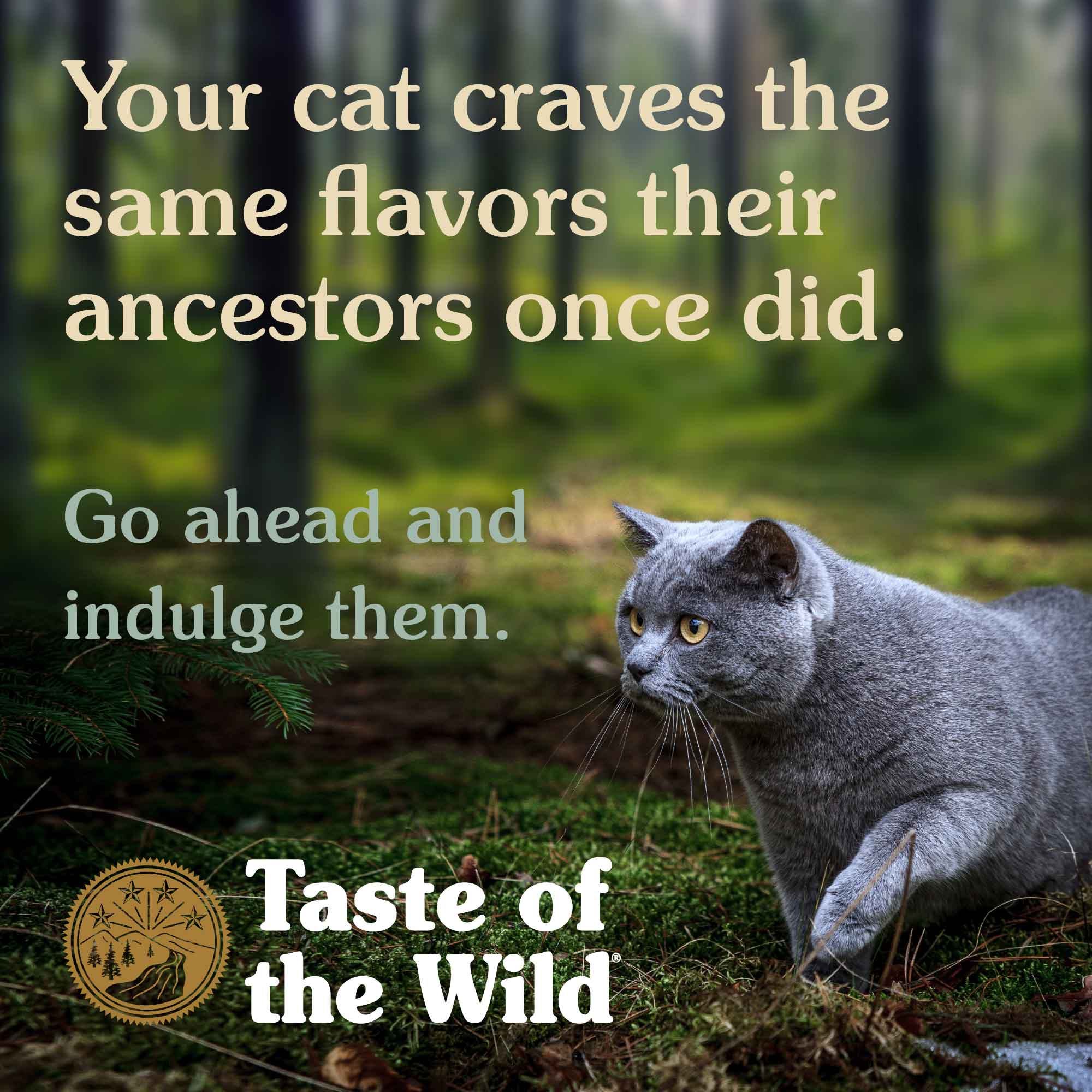 Taste of the Wild Lowland Creek Dry Cat Food with Roasted Quail and Duck 2 kg